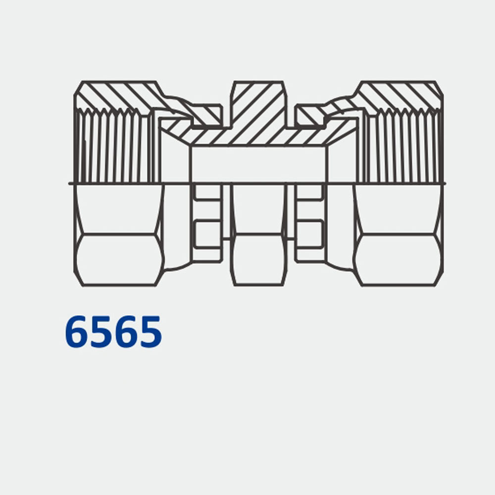 管配件和适配器6565 FJS-FJS直