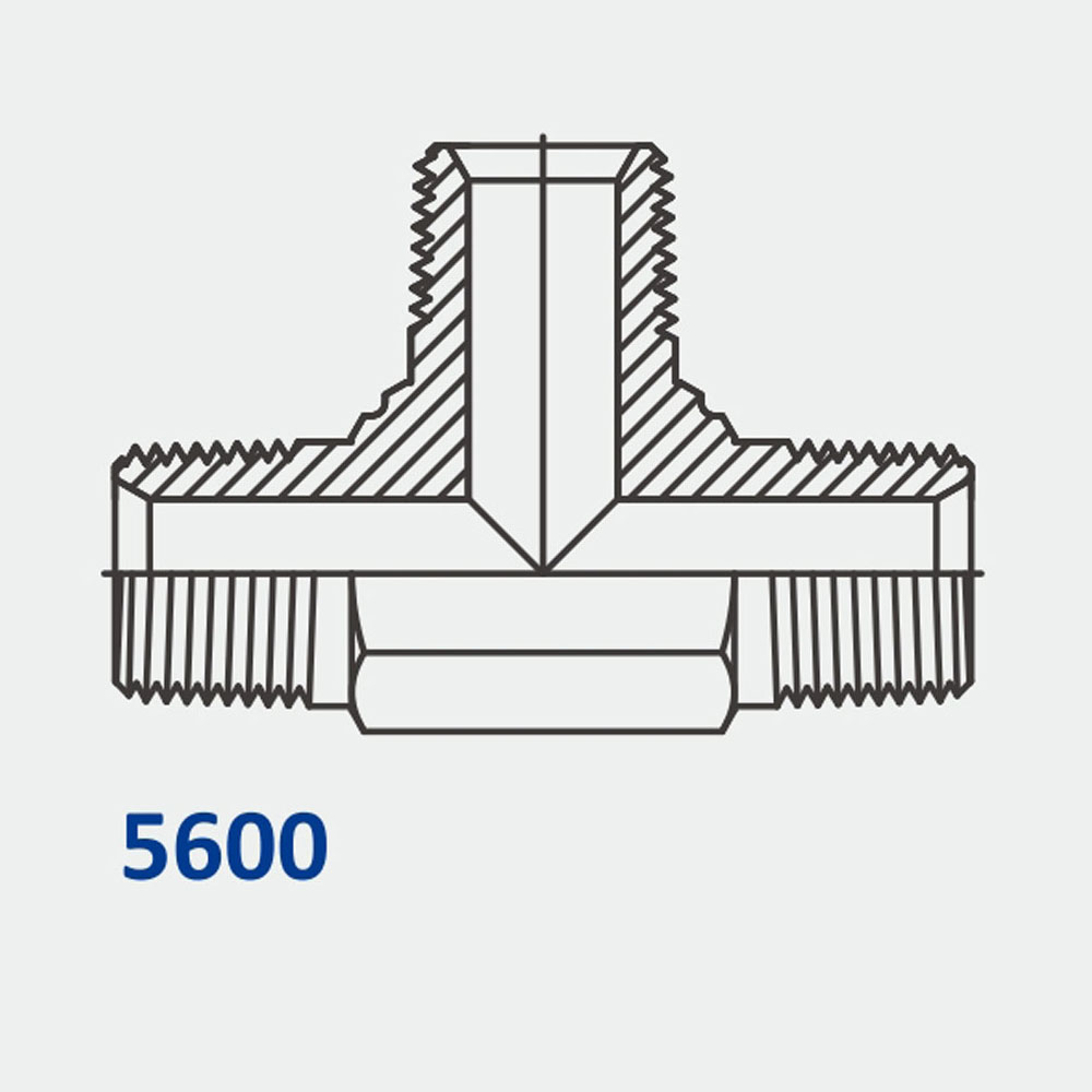 管配件和适配器5600 MP-MP-MP三通