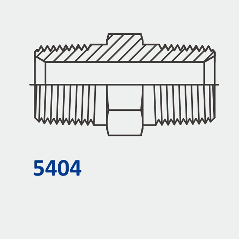 管配件和适配器5404 MP-MP六角接头